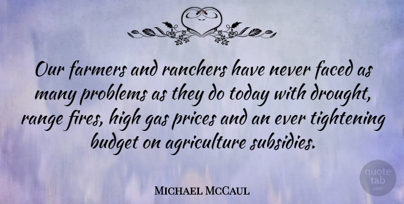 Michael McCaul Quote About Agriculture, Fire, Subsidies: Our Farmers And Ranchers Have...