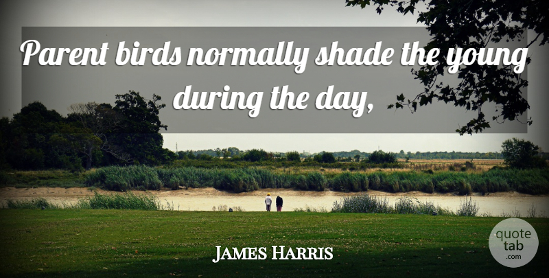 James Harris Quote About Birds, Normally, Parent, Shade: Parent Birds Normally Shade The...
