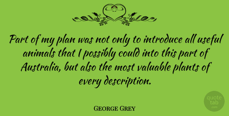 George Grey Quote About Introduce, Possibly, Useful, Valuable: Part Of My Plan Was...