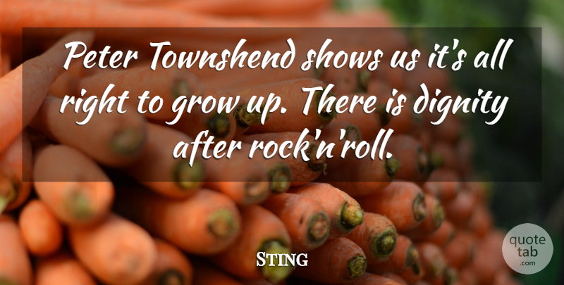 Sting Quote About Growing Up, Rocks, Rock N Roll: Peter Townshend Shows Us Its...