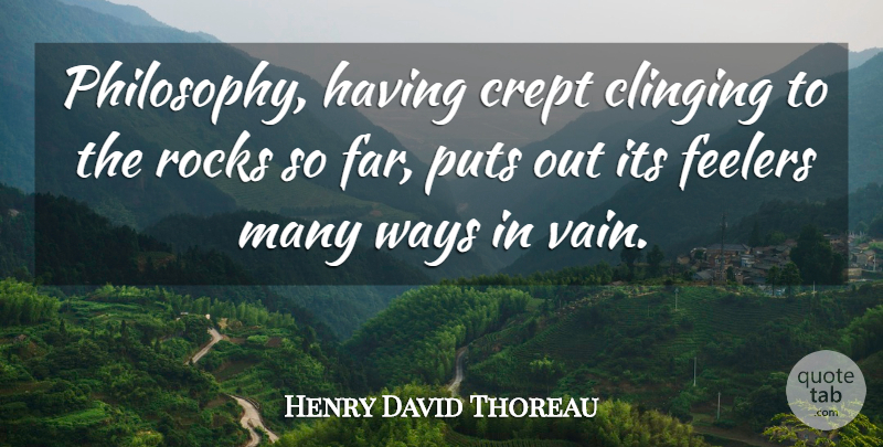 Henry David Thoreau Quote About Philosophy, Philosophical, Rocks: Philosophy Having Crept Clinging To...