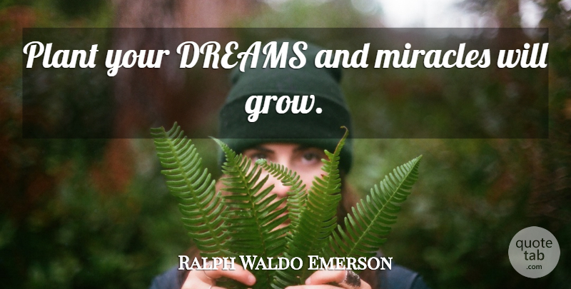 Ralph Waldo Emerson Quote About Dream, Miracle, Plant: Plant Your Dreams And Miracles...