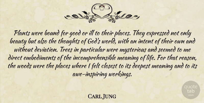 Carl Jung Quote About Tree, World, Embodiment: Plants Were Bound For Good...