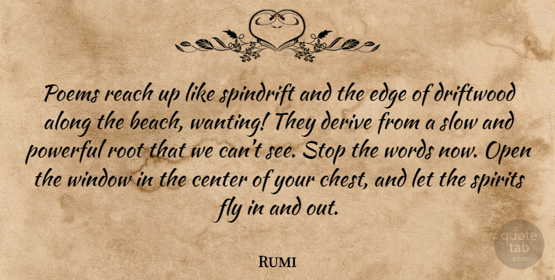 Rumi Quote About Beach, Powerful, Roots: Poems Reach Up Like Spindrift...