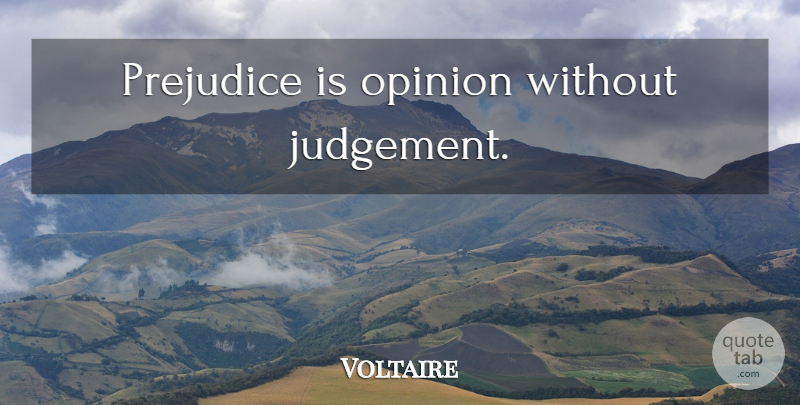 Voltaire Quote About Book, Beer, Judgement: Prejudice Is Opinion Without Judgement...