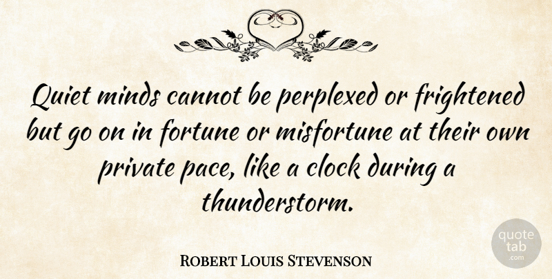 Robert Louis Stevenson Quote About Happiness, Perspective, Entrepreneur: Quiet Minds Cannot Be Perplexed...