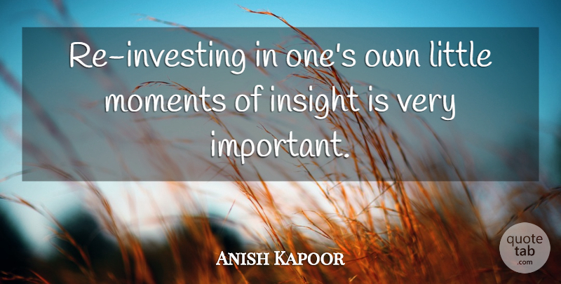 Anish Kapoor Quote About Important, Littles, Investing: Re Investing In Ones Own...