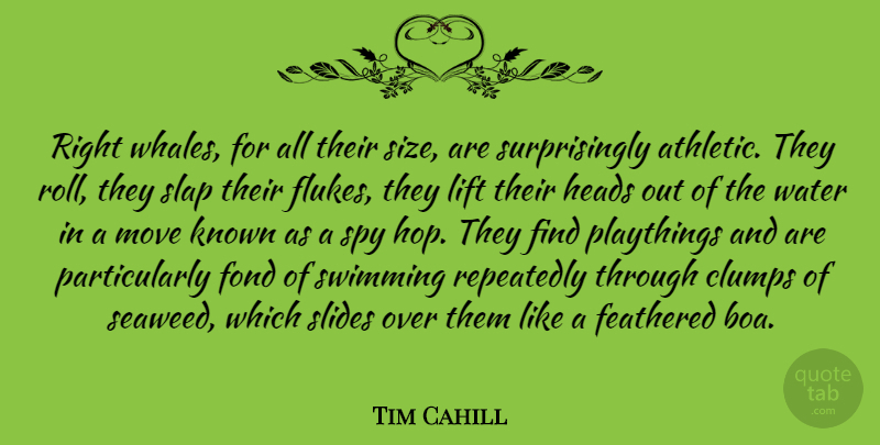 Tim Cahill Quote About Moving, Swimming, Whales: Right Whales For All Their...