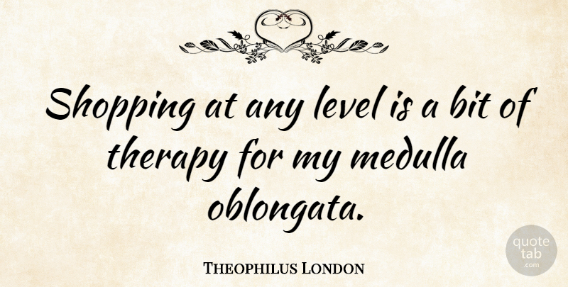 Theophilus London Quote About Shopping, Levels, Therapy: Shopping At Any Level Is...