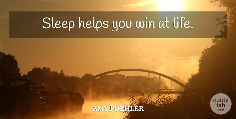 Amy Poehler Quote About Sleep, Winning, Helping: Sleep Helps You Win At...