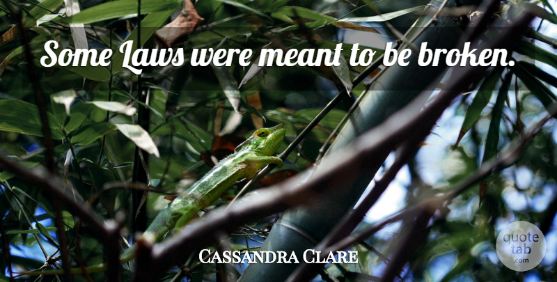 Cassandra Clare Quote About Law, Broken, Were Meant To Be: Some Laws Were Meant To...