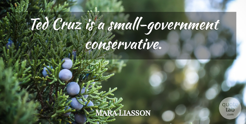 Mara Liasson Quote About Government, Conservative, Cruz: Ted Cruz Is A Small...