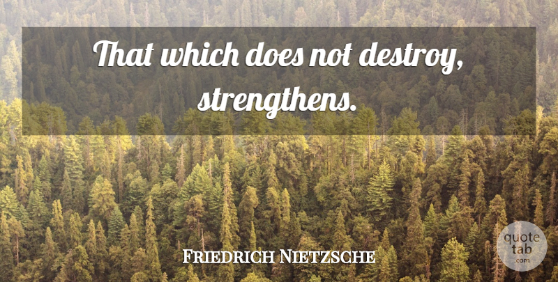 Friedrich Nietzsche Quote About Resilience, Doe: That Which Does Not Destroy...