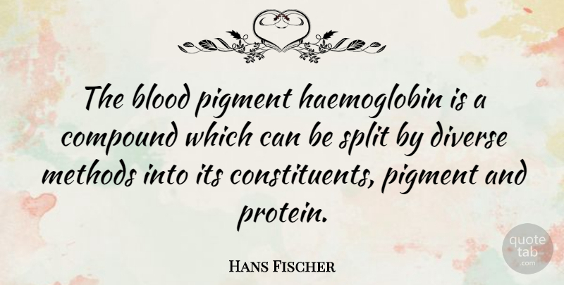 Hans Fischer Quote About Blood, Compound, Diverse, Methods, Split: The Blood Pigment Haemoglobin Is...