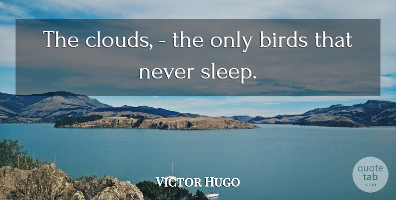 Victor Hugo Quote About Sleep, Clouds, Bird: The Clouds The Only Birds...