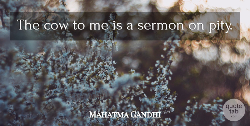 Mahatma Gandhi Quote About Cows, Pity, Sermons: The Cow To Me Is...