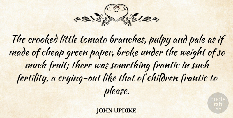 John Updike Quote About Children, Tomatoes, Paper: The Crooked Little Tomato Branches...