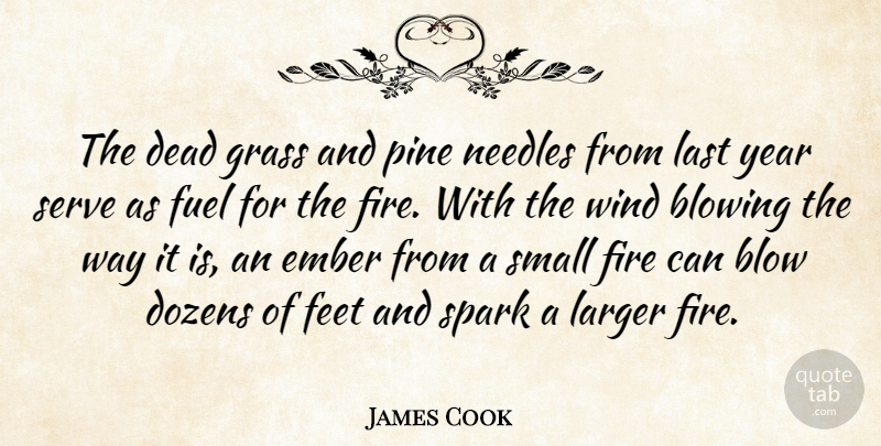 James Cook Quote About Blowing, Dead, Dozens, Feet, Fire: The Dead Grass And Pine...