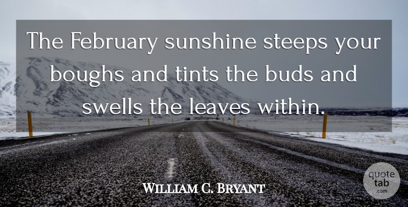 William C. Bryant Quote About Sunshine, Bud, February: The February Sunshine Steeps Your...