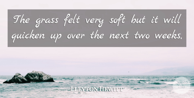 Lleyton Hewitt Quote About Felt, Grass, Next, Soft: The Grass Felt Very Soft...