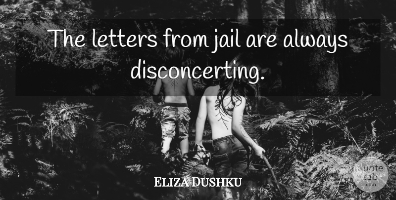 Eliza Dushku Quote About Jail, Letters: The Letters From Jail Are...
