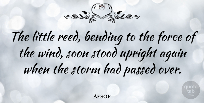 Aesop Quote About Life, Motivational, Encouragement: The Little Reed Bending To...