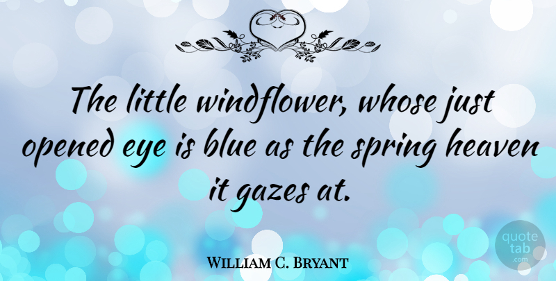 William C. Bryant Quote About Spring, Eye, Blue: The Little Windflower Whose Just...