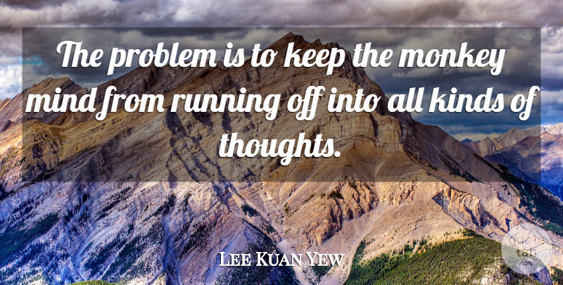 Lee Kuan Yew Quote About Kinds, Mind, Running: The Problem Is To Keep...