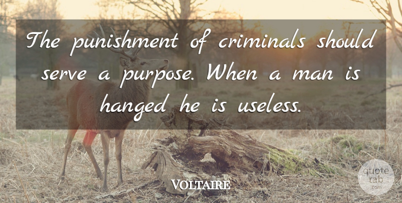 Voltaire Quote About Criminals, Hanged, Man, Punishment, Serve: The Punishment Of Criminals Should...