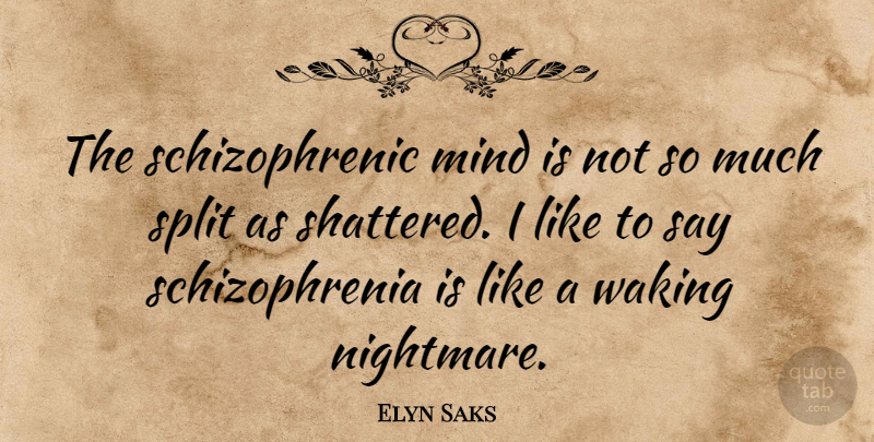 Elyn Saks Quote About Mind, Waking, Splits: The Schizophrenic Mind Is Not...