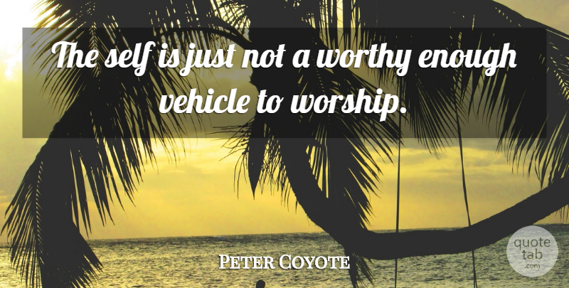 Peter Coyote Quote About Self, Worship, Enough: The Self Is Just Not...