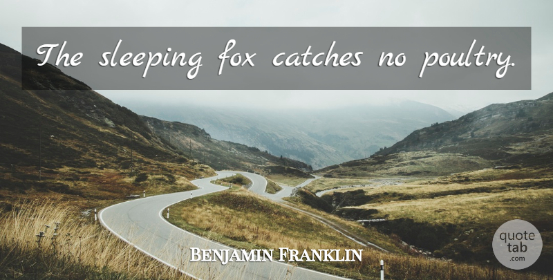 Benjamin Franklin Quote About Educational, Sleep, Poultry: The Sleeping Fox Catches No...