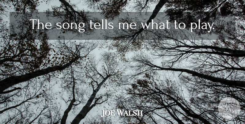 Joe Walsh Quote About Funny, Inspiring, Song: The Song Tells Me What...