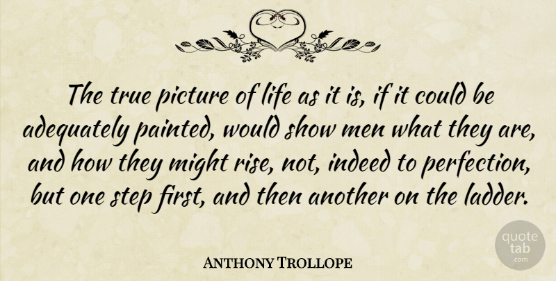 Anthony Trollope Quote About Men, Perfection, Might: The True Picture Of Life...