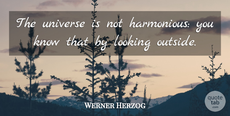 Werner Herzog Quote About Harmonious, Knows, Universe: The Universe Is Not Harmonious...