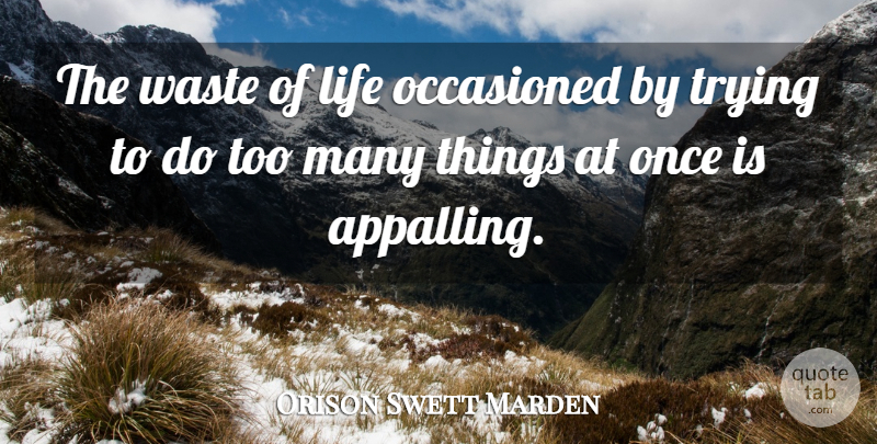 Orison Swett Marden Quote About Life, Simple, Simplicity: The Waste Of Life Occasioned...