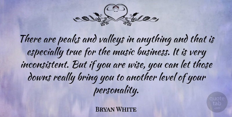 Bryan White Quote About Wise, Business, Personality: There Are Peaks And Valleys...