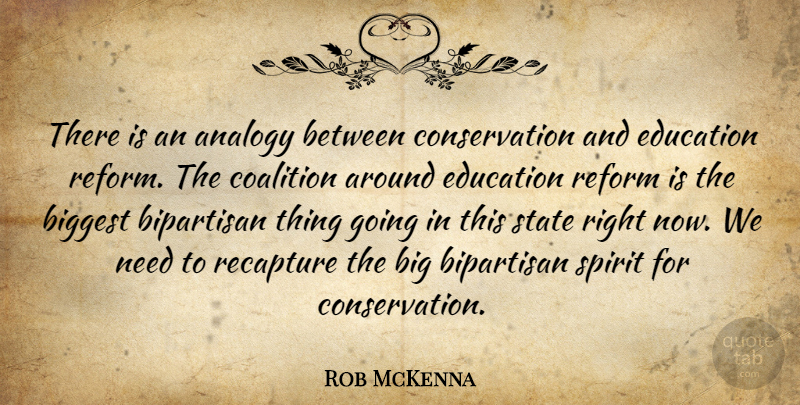 Rob McKenna Quote About Needs, Analogies, Reform: There Is An Analogy Between...