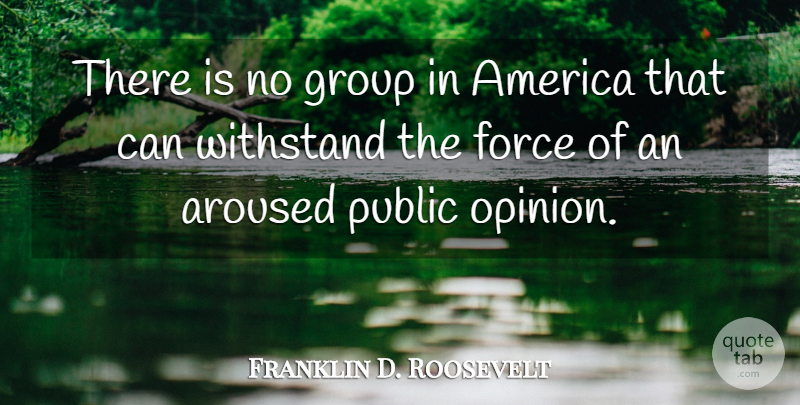 Franklin D. Roosevelt Quote About America, Groups, Public Opinion: There Is No Group In...