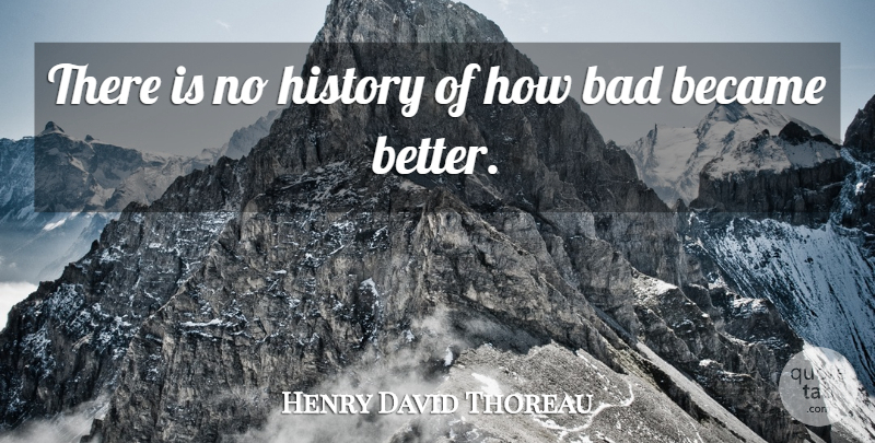 Henry David Thoreau Quote About History, Progress, Reform: There Is No History Of...