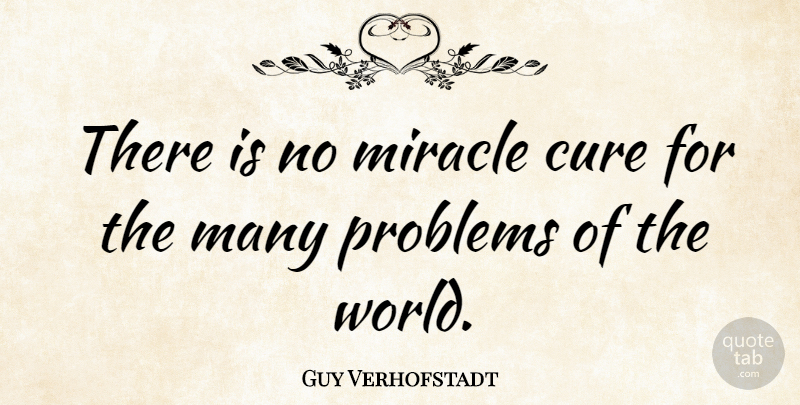Guy Verhofstadt Quote About Miracle, World, Problem: There Is No Miracle Cure...