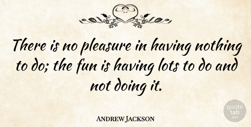 Andrew Jackson Quote About American President, Fun: There Is No Pleasure In...
