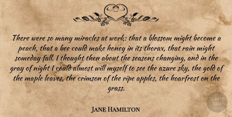 Jane Hamilton Quote About Rain, Fall, Night: There Were So Many Miracles...
