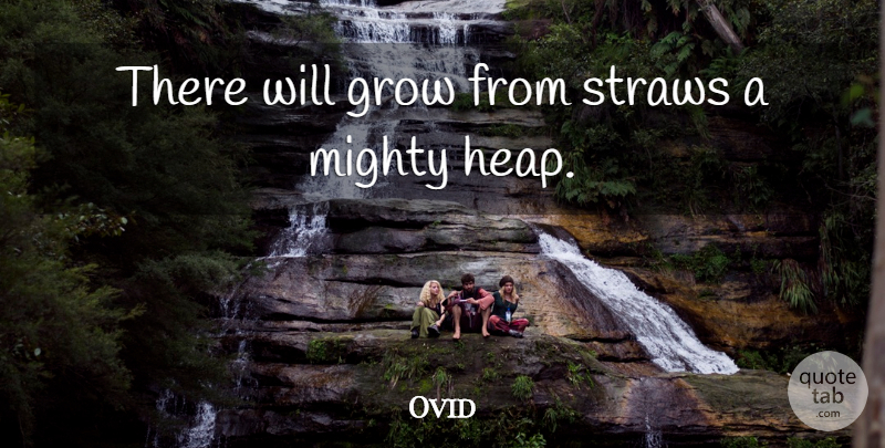 Ovid Quote About Accumulation, Grows, Straws: There Will Grow From Straws...