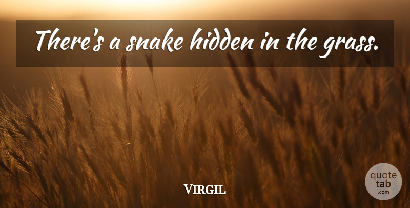 Virgil Quote About Snakes, Grass: Theres A Snake Hidden In...