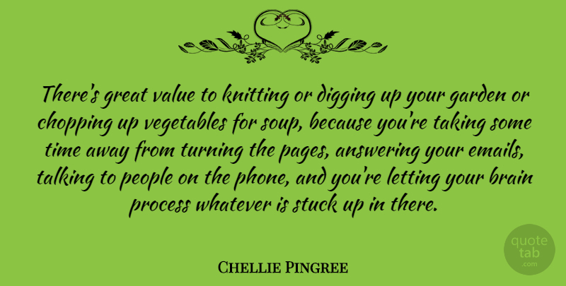 Chellie Pingree Quote About Garden, Knitting, Phones: Theres Great Value To Knitting...