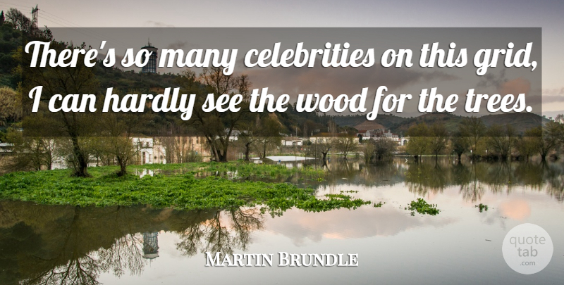 Martin Brundle Quote About Hardly, Wood: Theres So Many Celebrities On...