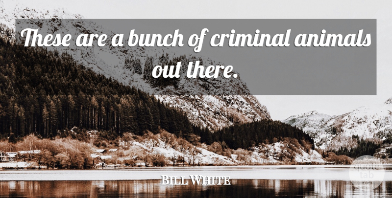 Bill White Quote About Animals, Bunch, Criminal: These Are A Bunch Of...