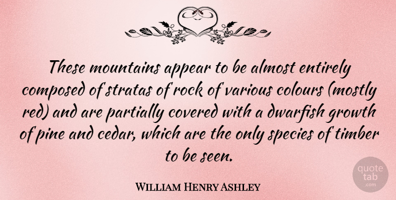 William Henry Ashley Quote About Almost, American Businessman, Appear, Colours, Composed: These Mountains Appear To Be...