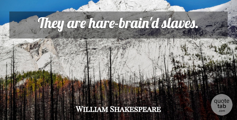 William Shakespeare Quote About Sassy, Brain, Slave: They Are Hare Braind Slaves...